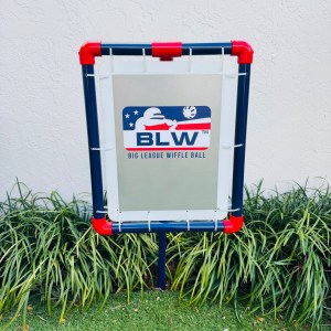 Official BLW IN-GROUND Deluxe Strikezone by Home Stand